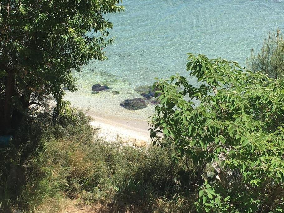 T3 Les Pieds Dans L'Eau Apartamento Istres Exterior foto